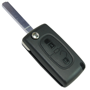 Citroen C3 2 Button Remote Key (6490FS) 2010 +